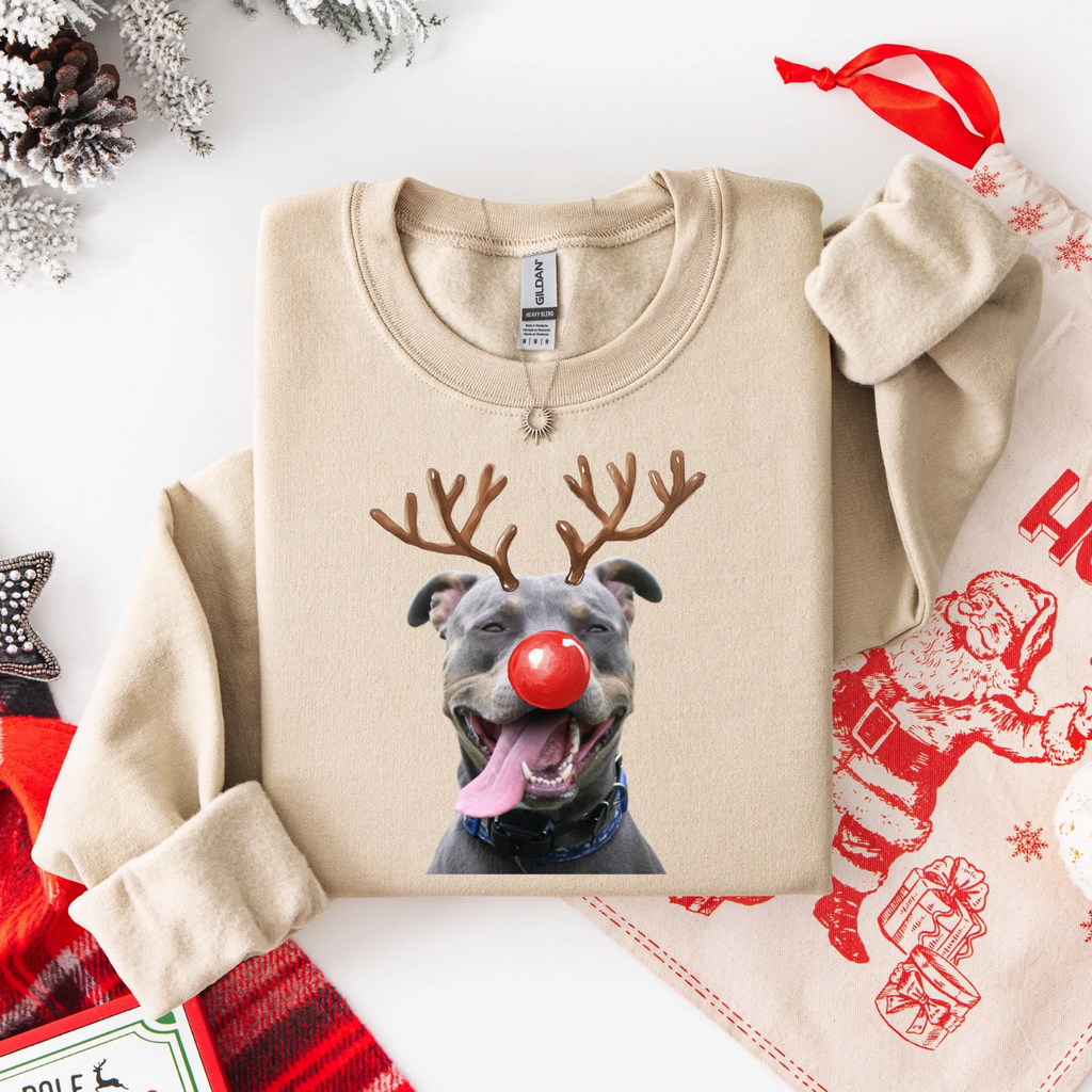 Custom Christmas Pet Parent Reindeer Shirt