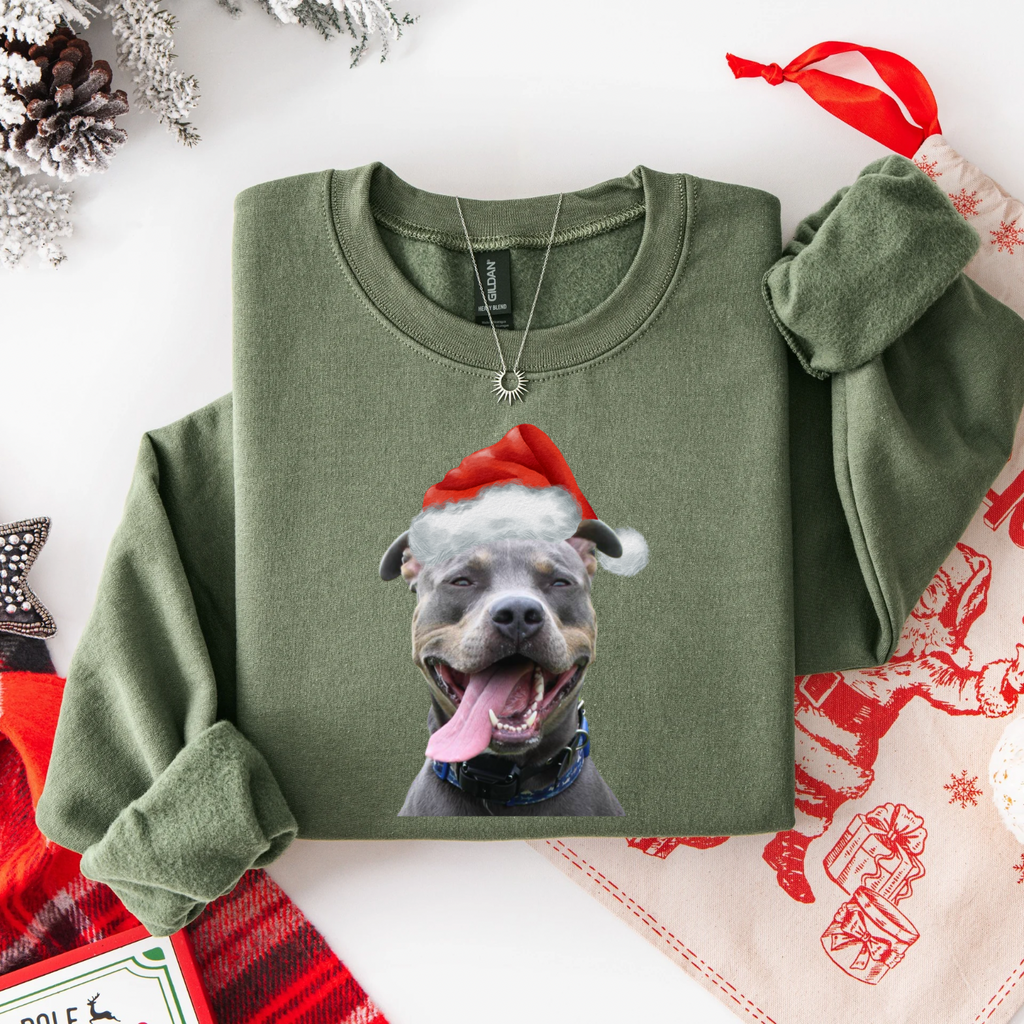 Custom Christmas Pet Parent Santa Shirt